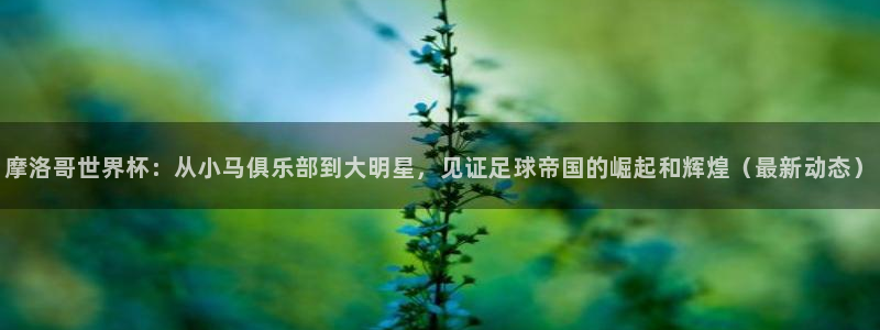 2026年世界杯赛程表时间:摩洛哥世界杯:从小马俱乐部到大明星,见证足球帝国的崛起和辉煌(最新动态)