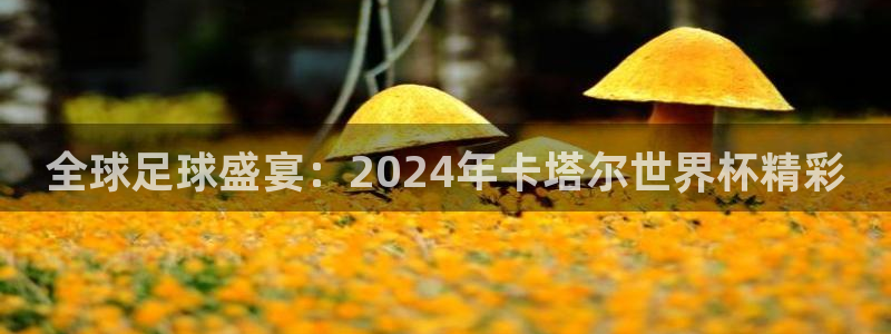2026世界杯亚洲区预选赛赛程:全球足球盛宴:2024年卡塔尔世界杯精彩