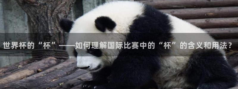2026世界杯官网入口:世界杯的“杯”——如何理解国际比赛中的“杯”的含义和用法?