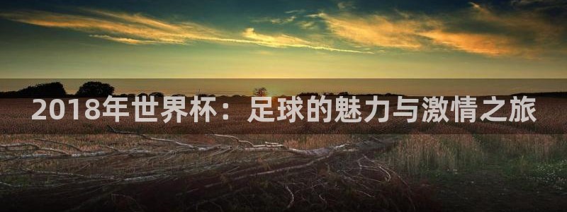 足球世界杯赛程:2018年世界杯:足球的魅力与激情之旅