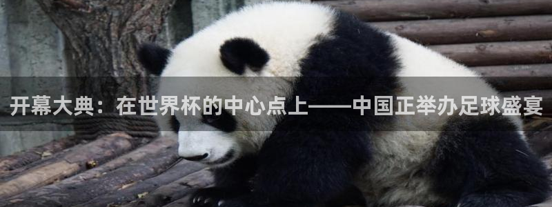 世界杯足球直播:开幕大典:在世界杯的中心点上——中国正举办足球盛宴