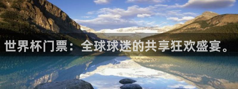 今年世界杯:世界杯门票:全球球迷的共享狂欢盛宴。